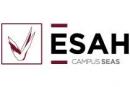 ESAH Semipresencial