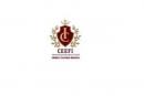 CEEFI International Business School