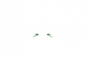 Carbon Credits Exchange