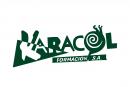 Karacol Formación