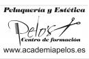 Academia De Peluquería Pelos