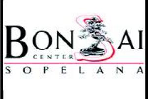 Bonsai Center Sopelana