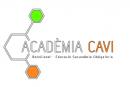Acadèmia CAVI