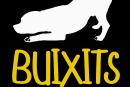 Buixits Centre Caní