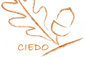 Centro Internacional de Estudio y Diseño Organizacional (CIEDO)