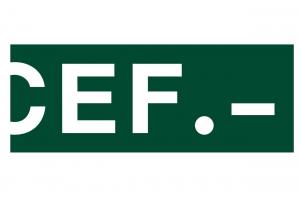 Cef - Centro de Estudios Financieros