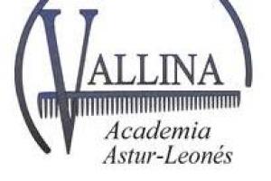 Centro de Formación Narseo Vallina