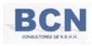 BCN Consultores