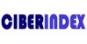 Ciberindex - Fundación Index
