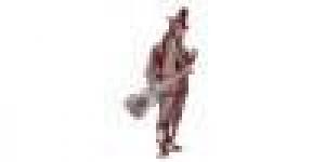 Fundación Conservatorio Flamenco 