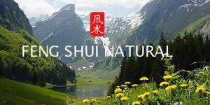 Escuela Feng Shui Natural