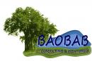 Baobab Consulting & Mentoring