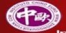 Instituto Chino Europeo