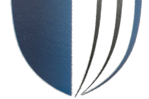 Academia Autonoma de Seguridad Ltda