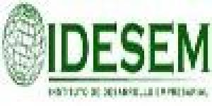 Idesem