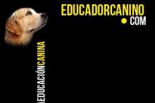 Educador Canino