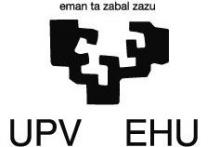 UPV-EHU Universidad del Pais Vasco