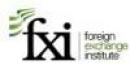 Foreing Exhange Institute