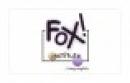 Fox Institute