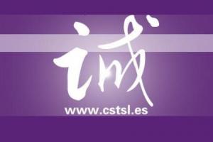 Chinese Study And Translation Services S.l