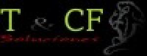 T&CF Soluciones