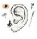 Centro de Acupuntura Profesional "Long Dan"