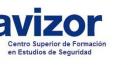 Avizor Consultoría y Formación 