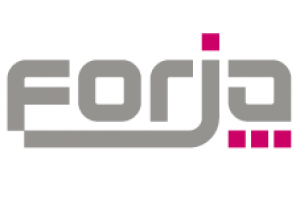 FORJA FORMACIÓN PLUS S.L.