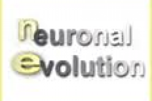 Neuronal Evolution