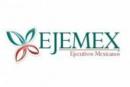 Ejecutivos Mexicanos - EJEMEX