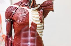 Grado en fisioterapia