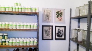 Instalaciones de ELAESI