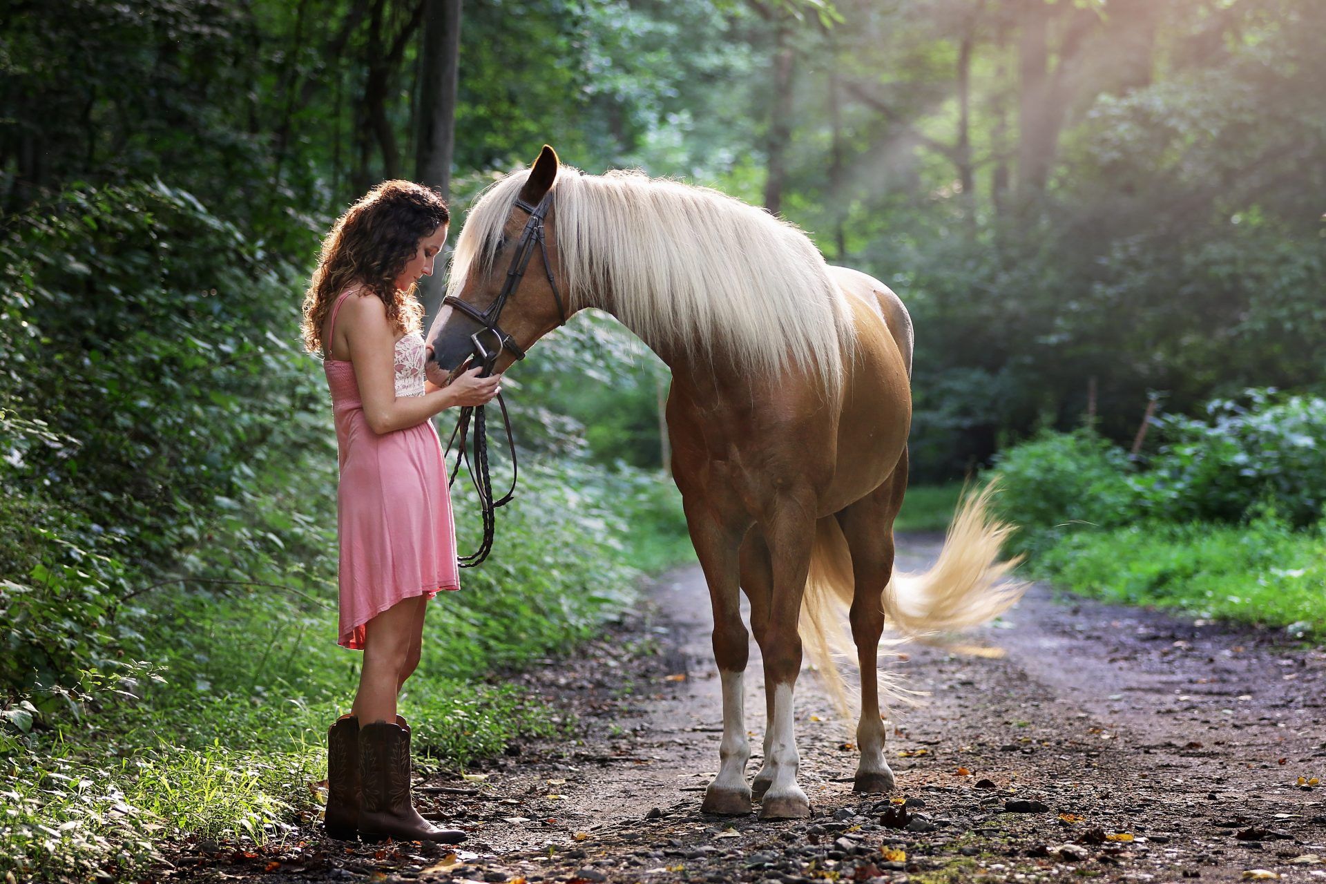 Qué estudiar para trabajar con caballos? - Blog Emagister