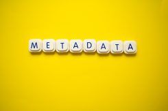metadata