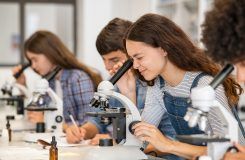 bachillerato científico