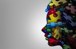 educación especial, atención a la diversidad