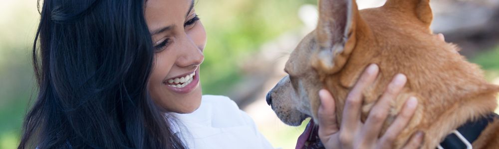 Trabajar por el bienestar de los animales