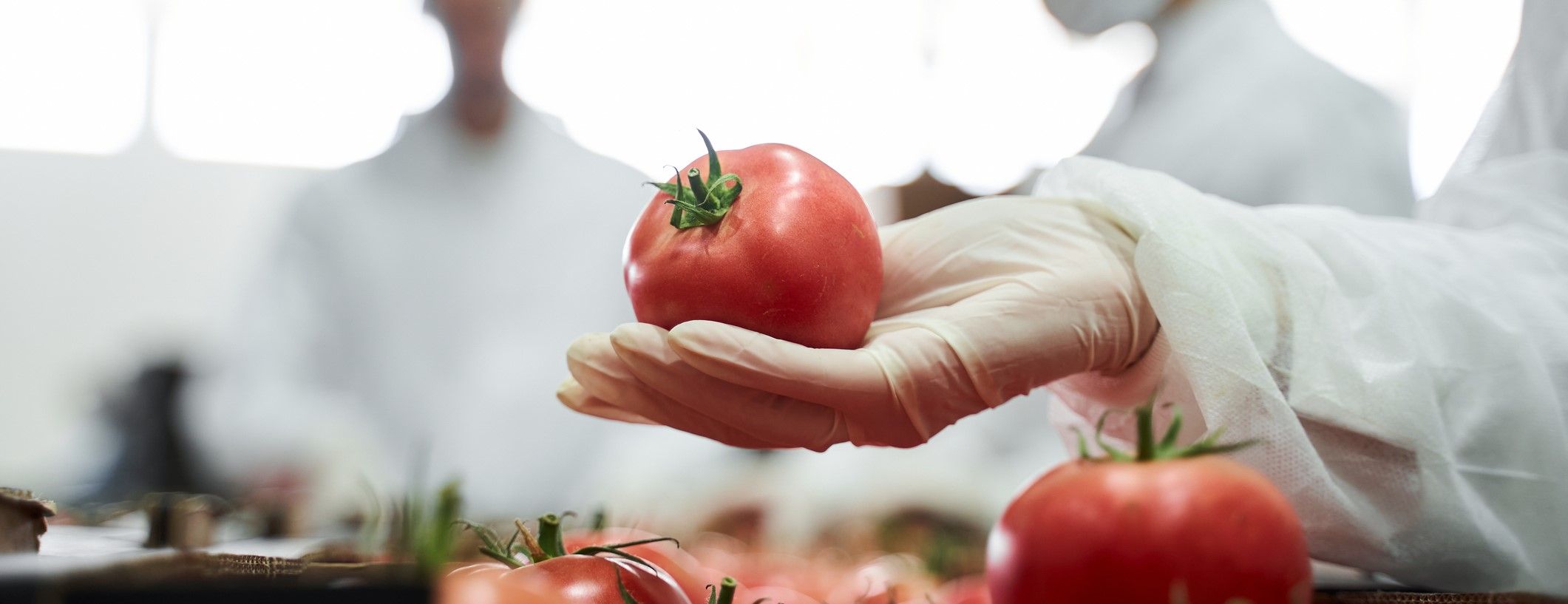 Seguridad alimentaria y protocolos ISO: Claves para una gestión eficiente