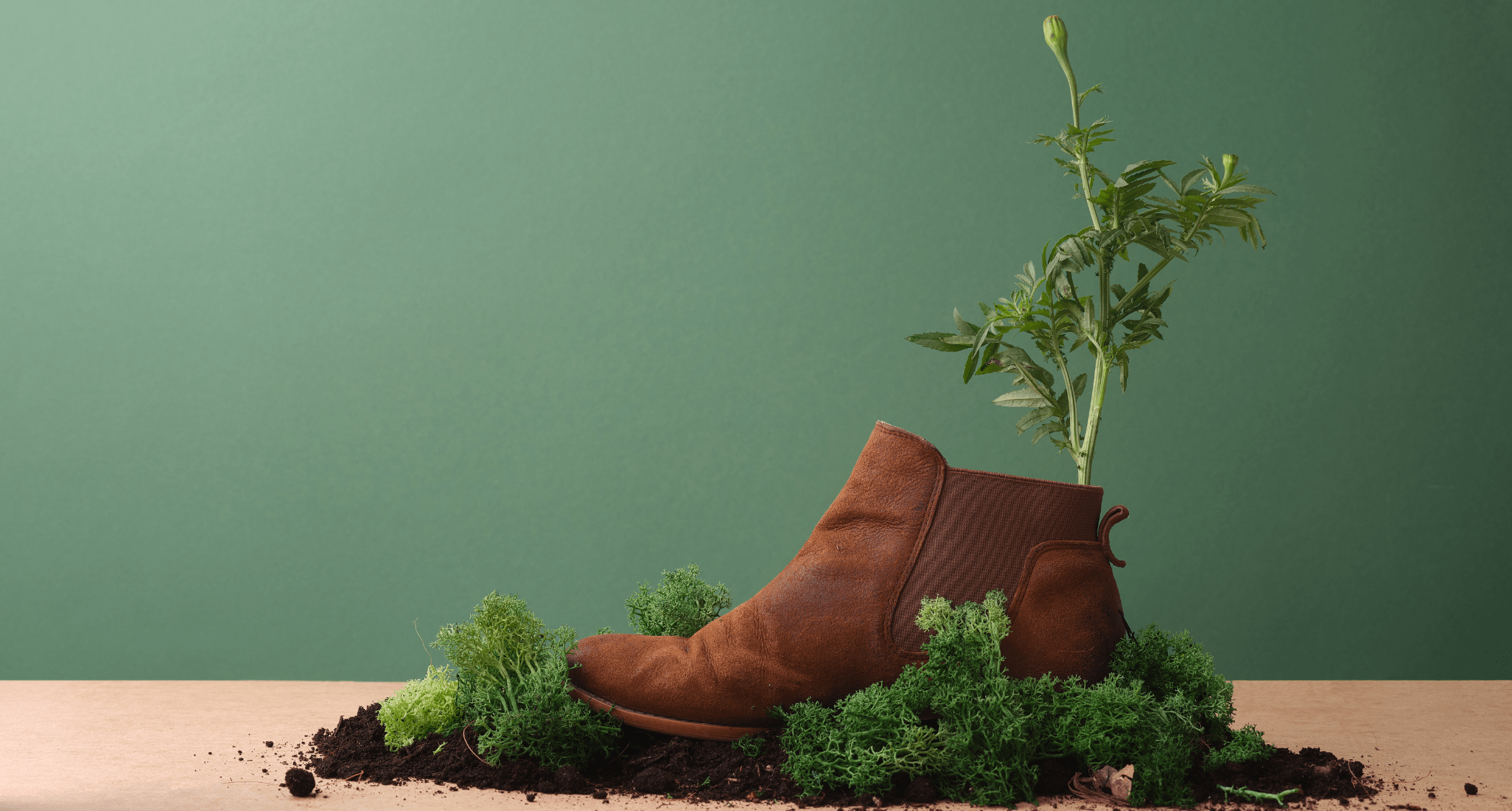 Moda sostenible y ética en España: Claves para un futuro responsable